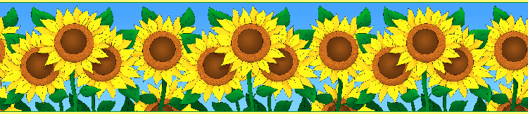 Border Sunflower